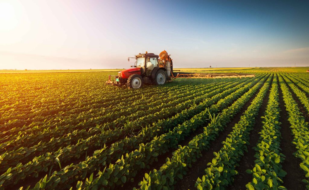 Tractor driving through a green field at sunset