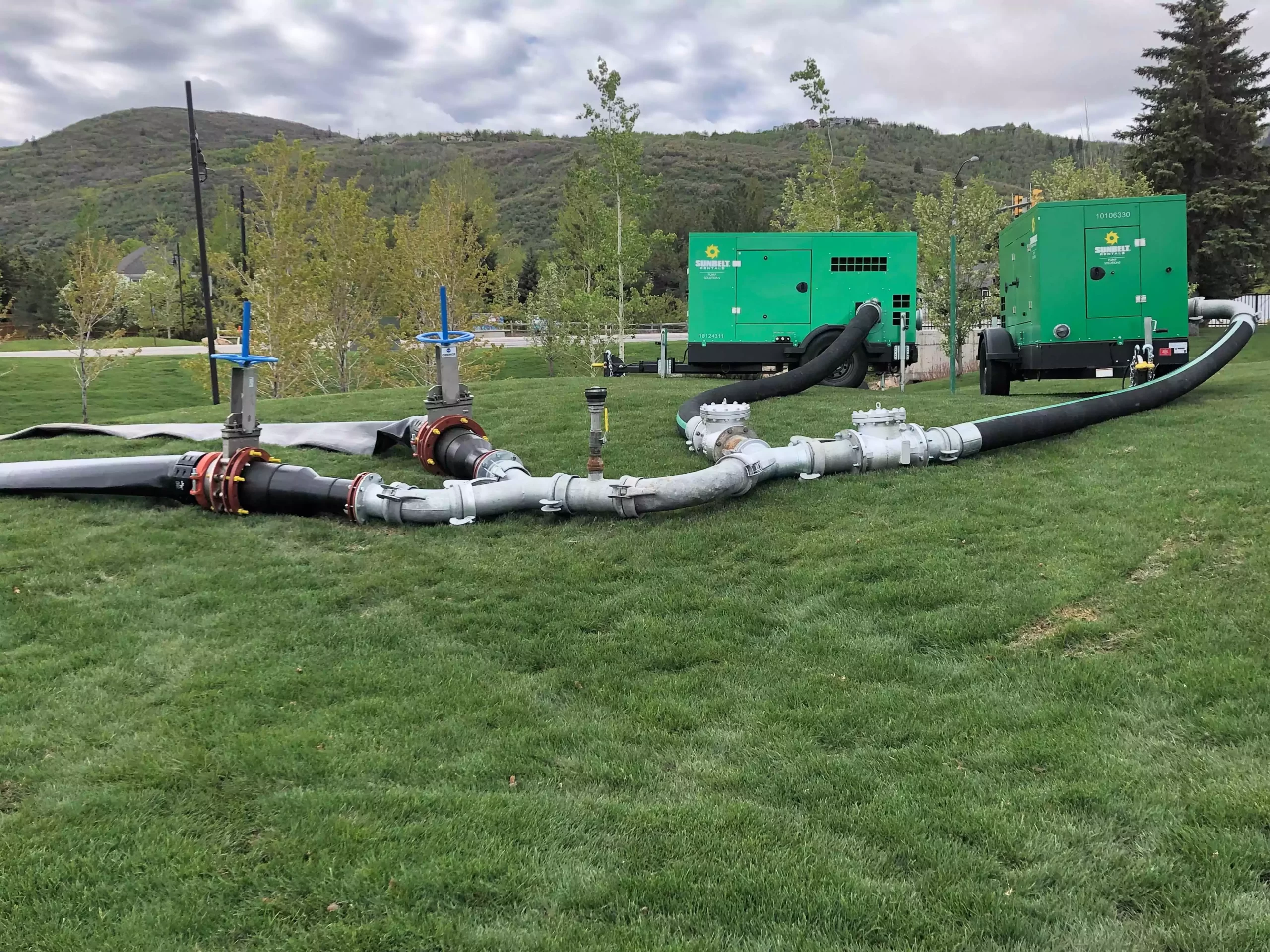 Two Pair and spare set up on green lawn with mountains in the distance